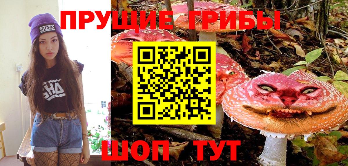 Галлюциногенные грибы MAGIC MUSHROOMS  как найти закладки  Вход с VPN  Электросталь  Галлюциногенные грибы Psilocybine cubensis 