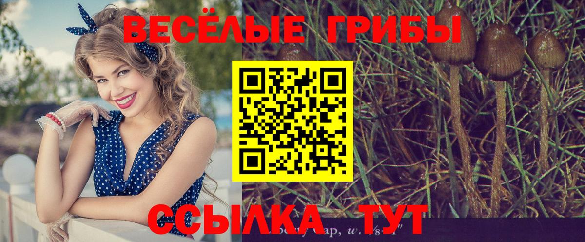 Псилоцибиновые грибы мухоморы Электросталь